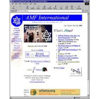 AMF International Website Screenshot
